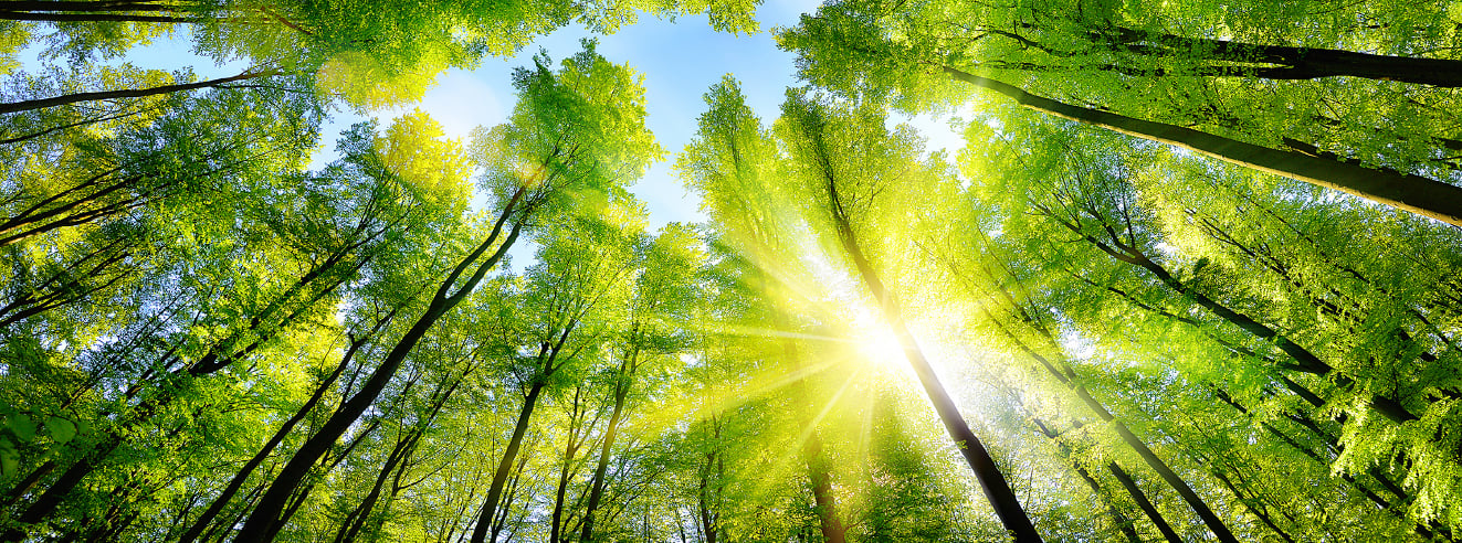Environment Environment